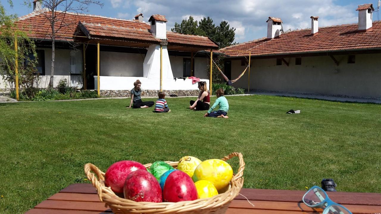 Family Hotel Belvedere Dŭlgopol المظهر الخارجي الصورة