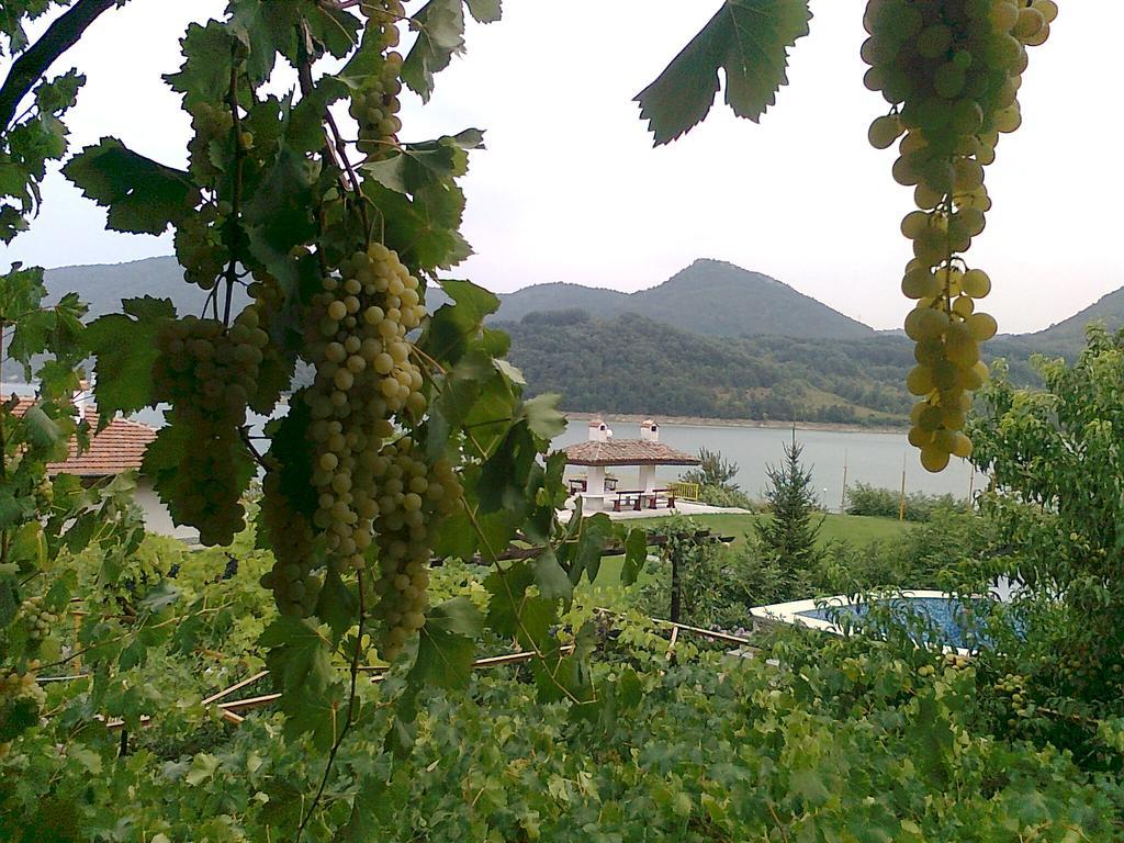 Family Hotel Belvedere Dŭlgopol المظهر الخارجي الصورة