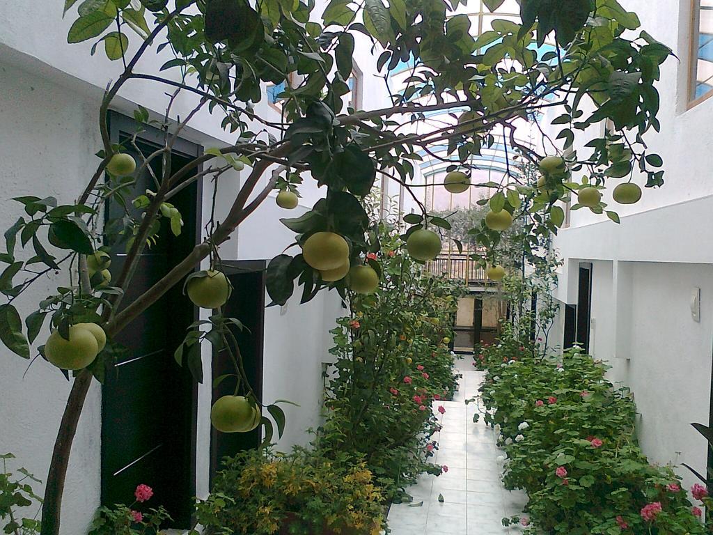 Family Hotel Belvedere Dŭlgopol المظهر الخارجي الصورة