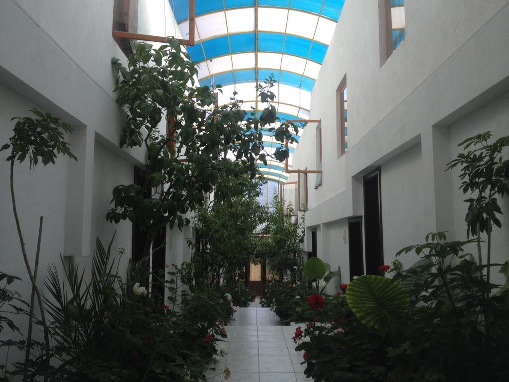 Family Hotel Belvedere Dŭlgopol المظهر الخارجي الصورة