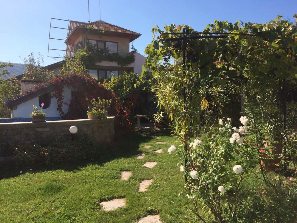 Family Hotel Belvedere Dŭlgopol المظهر الخارجي الصورة