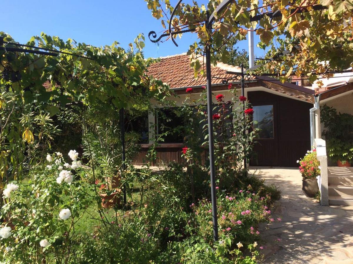 Family Hotel Belvedere Dŭlgopol المظهر الخارجي الصورة