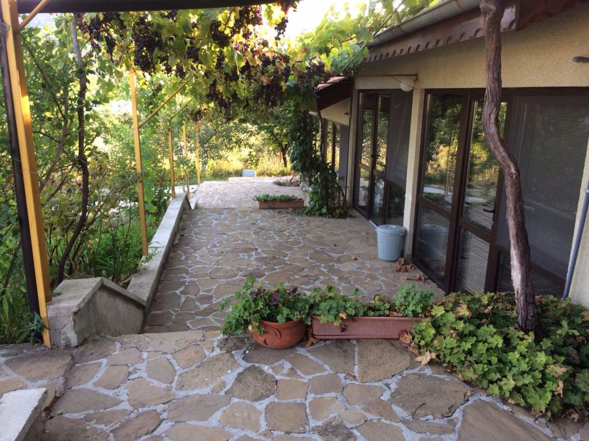Family Hotel Belvedere Dŭlgopol المظهر الخارجي الصورة