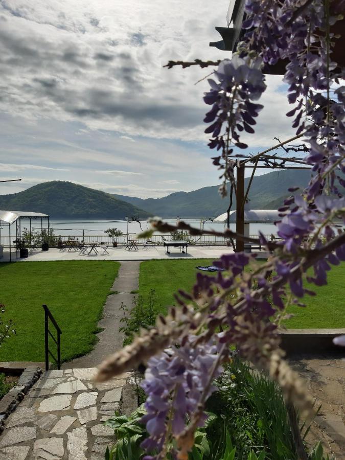 Family Hotel Belvedere Dŭlgopol المظهر الخارجي الصورة