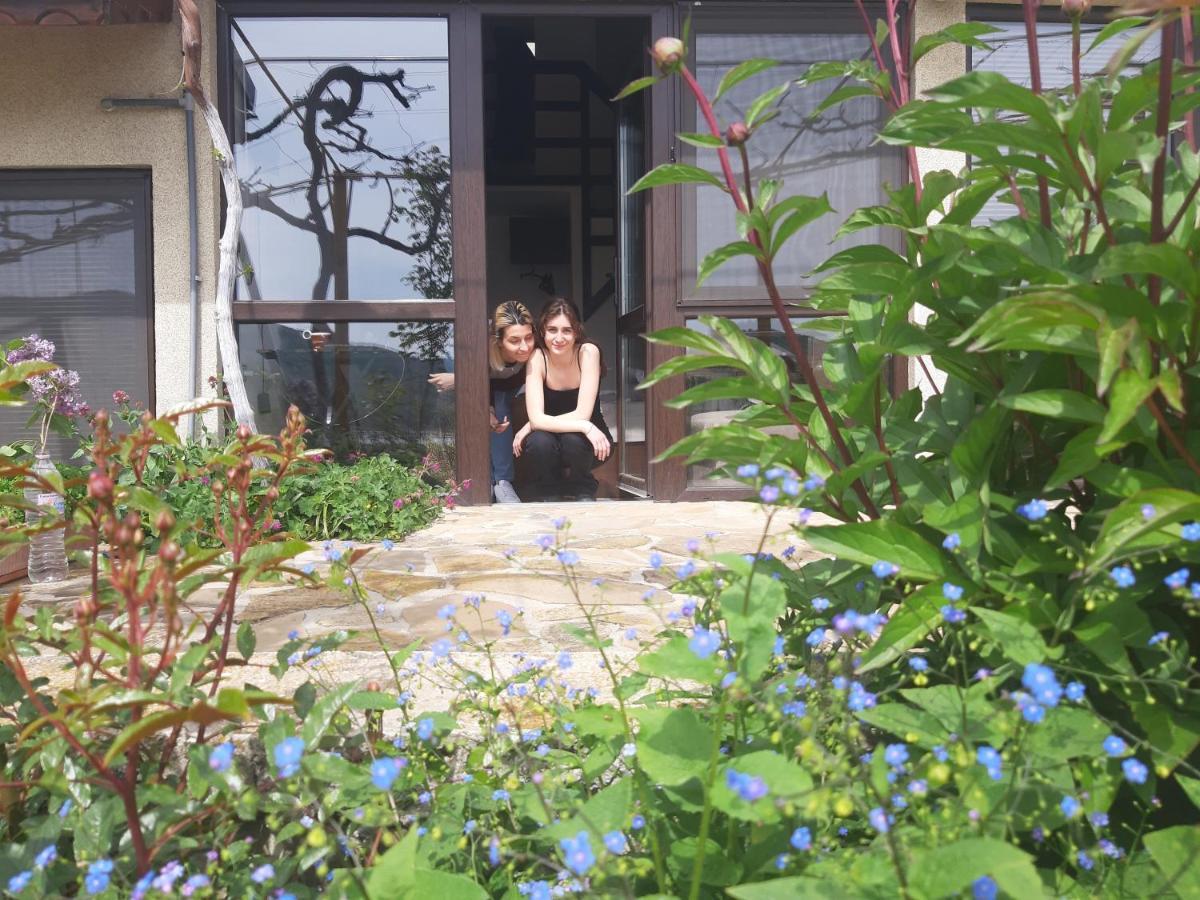 Family Hotel Belvedere Dŭlgopol المظهر الخارجي الصورة