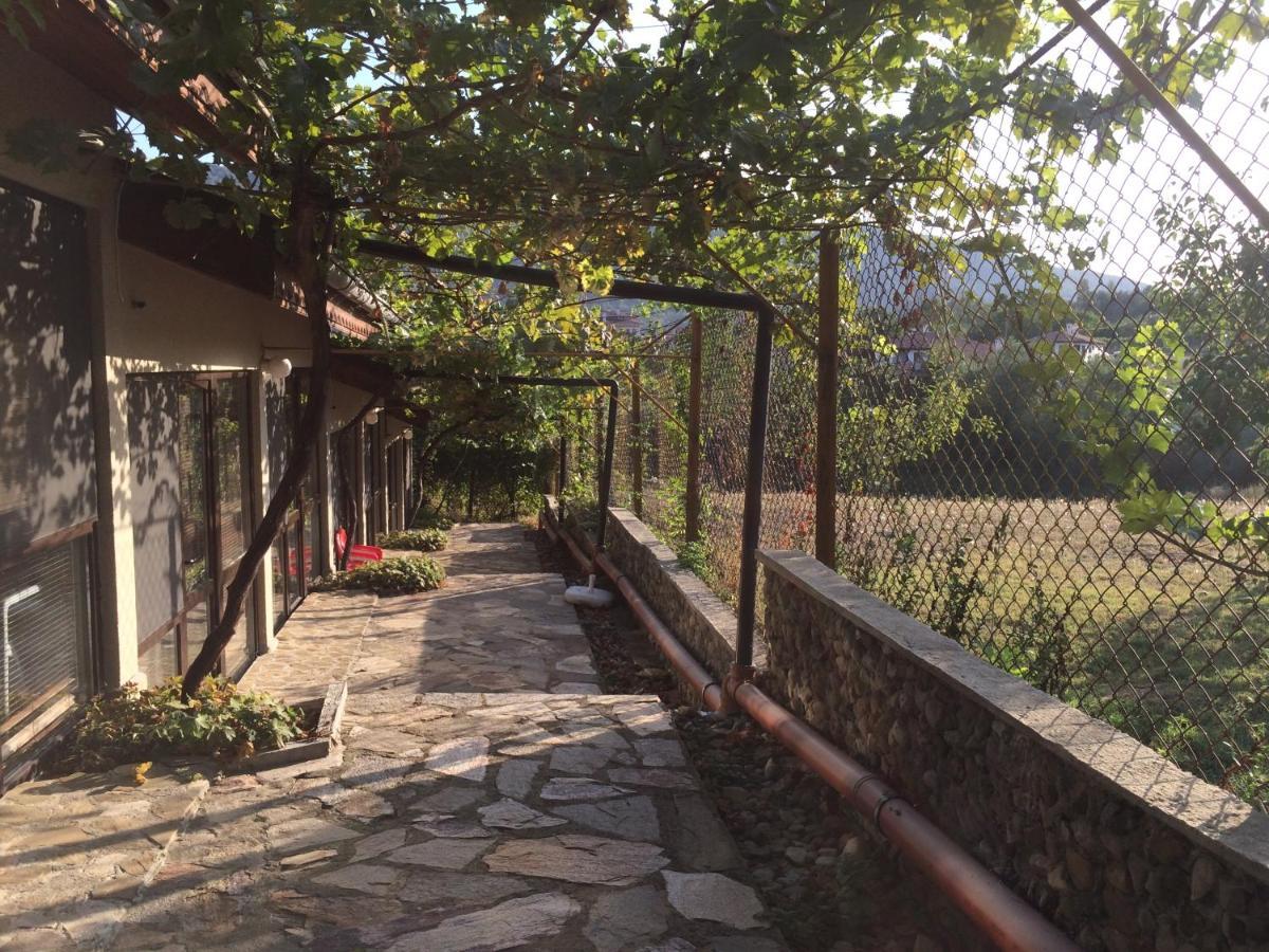 Family Hotel Belvedere Dŭlgopol المظهر الخارجي الصورة